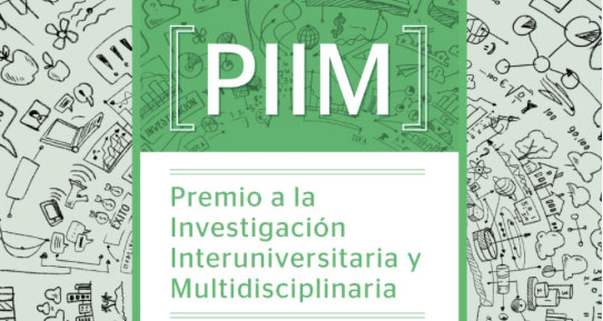 PIIM 2014: Ganadores