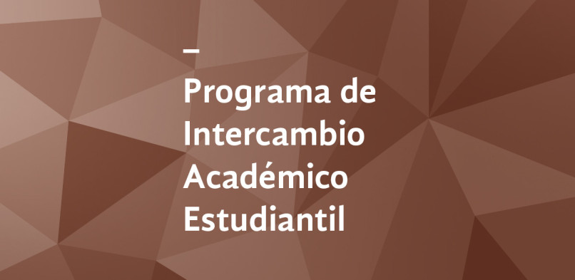 Programa de Intercambio Académico Estudiantil