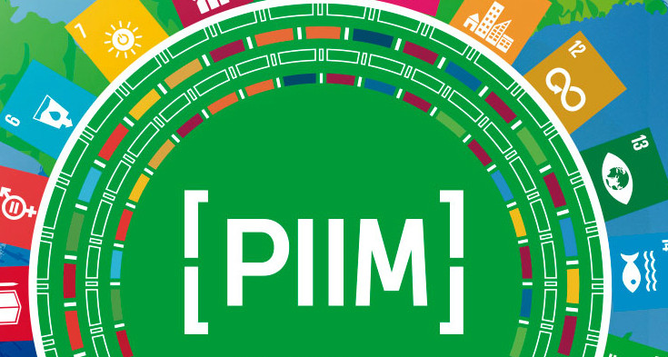 Premio a la Investigación Interuniversitaria y Multidisciplinaria (PIIM)
