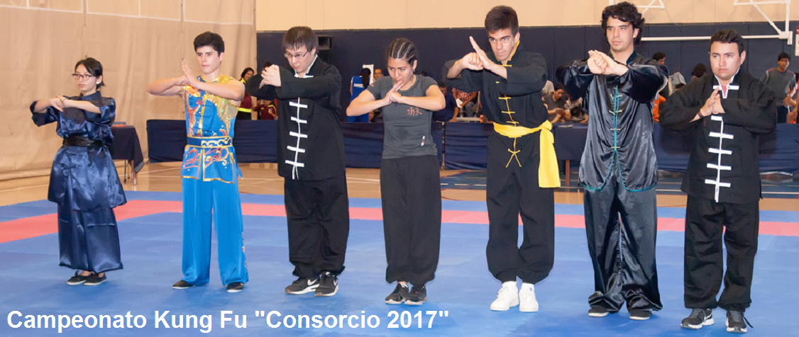 Campeonato de Kung Fu – Wushu